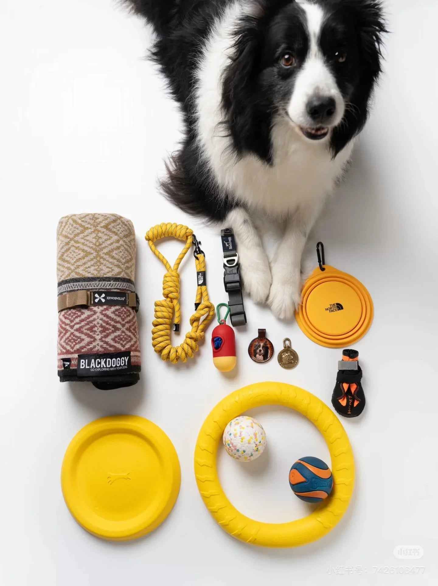 Eco-Friendly Toys: Playtime That’s Kind to the Planet - Paw Charge