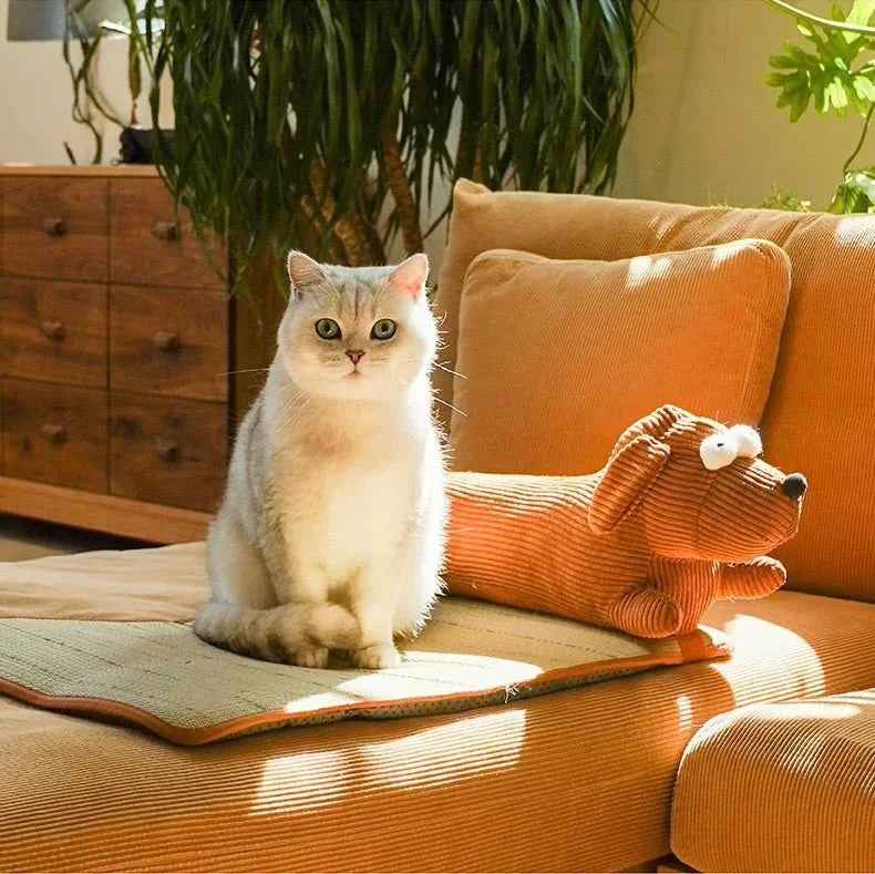 🐾  Top 5 Stylish & Functional Dog Travel Essentials from Paw Charge - Paw Charge