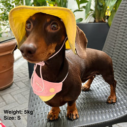 Cappellino e Bandana Rosa per Animali – Protezione Solare Carina e Traspirante