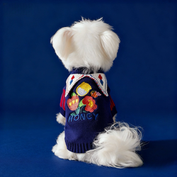 Maglione da Mago per cani per Halloween in stile magico – Caldo e confortevole per l’autunno e l’inverno