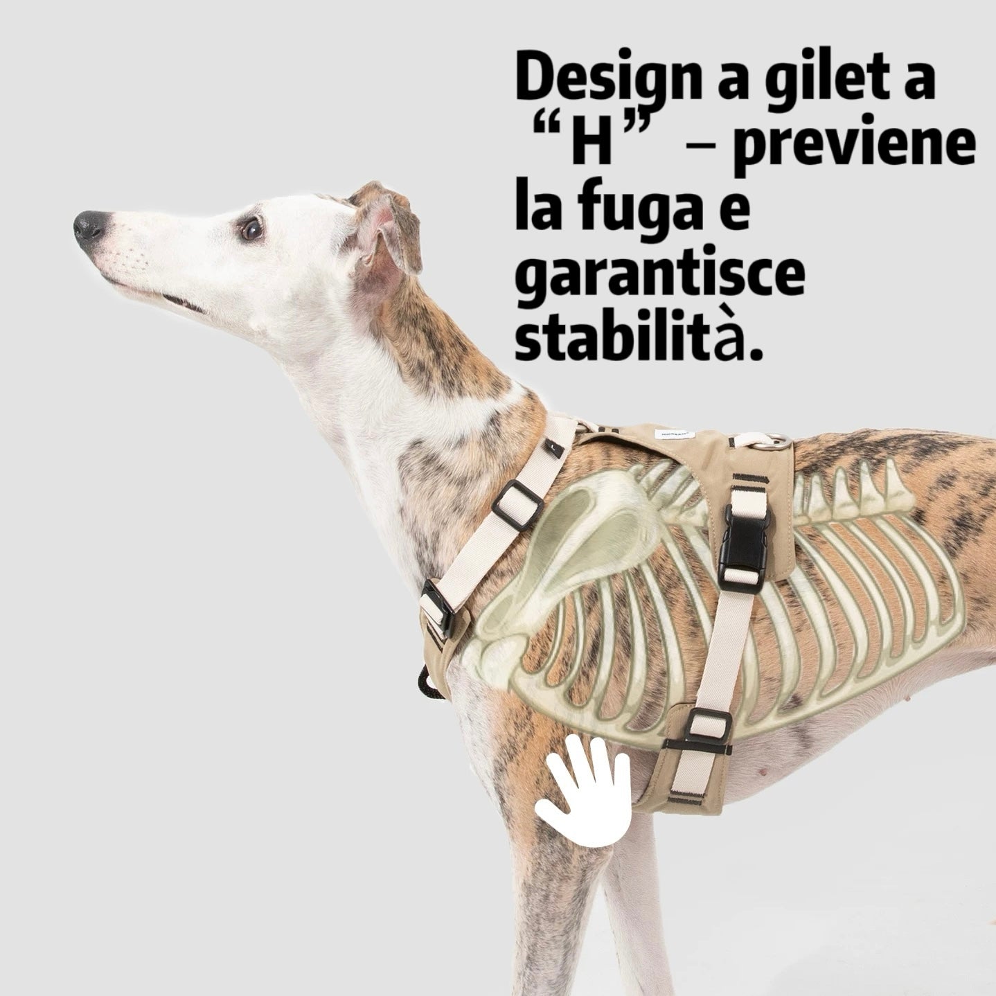 Pettorina Antitrazione per Cani – Ergonomica e Traspirante