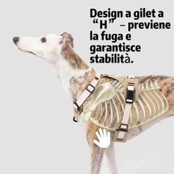 Pettorina Antitrazione per Cani – Ergonomica e Traspirante