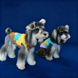 Gilet in pile colorato per cani – Pettorina con colori a contrasto, calda e comoda per l’autunno e l’inverno