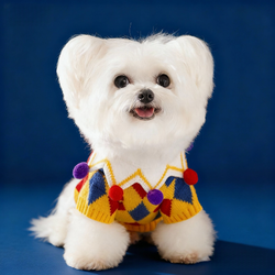 Maglione da Clown per cani per Halloween in stile circo – Caldo e confortevole per l’autunno e l’inverno