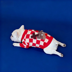 Maglione invernale per Bulldog Francese con motivo renna – Caldo e comodo per l’autunno e l’inverno