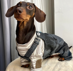 Salopette in Denim Sbiadito Blu Scuro per Animali – Regolabile, Resistente e Traspirante