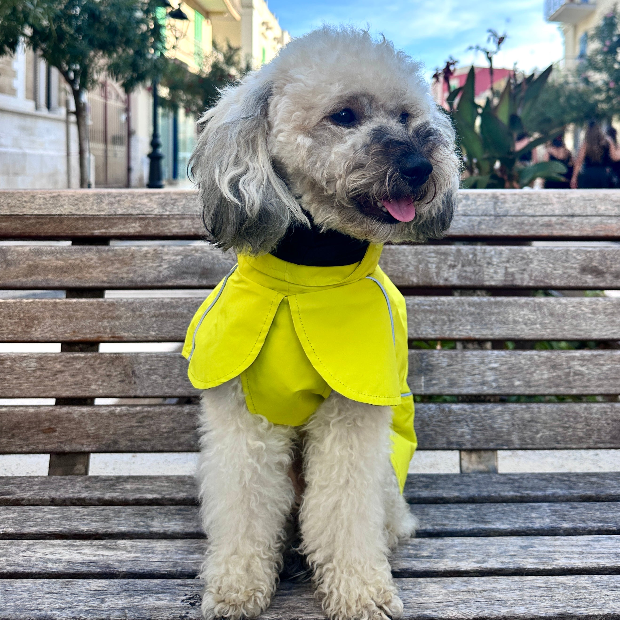 Impermeabile Neon Giallo per Cani con Cappuccio Riflettente e Design a Mantellina