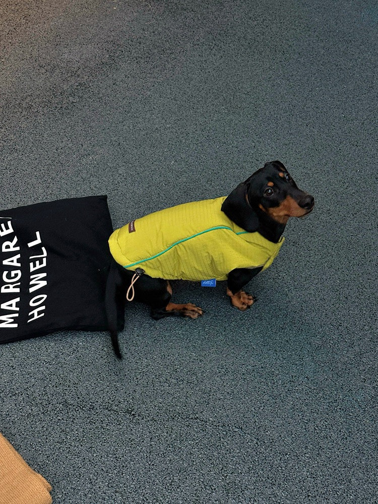 Giacca Reversibile per Cani Calda e Leggera