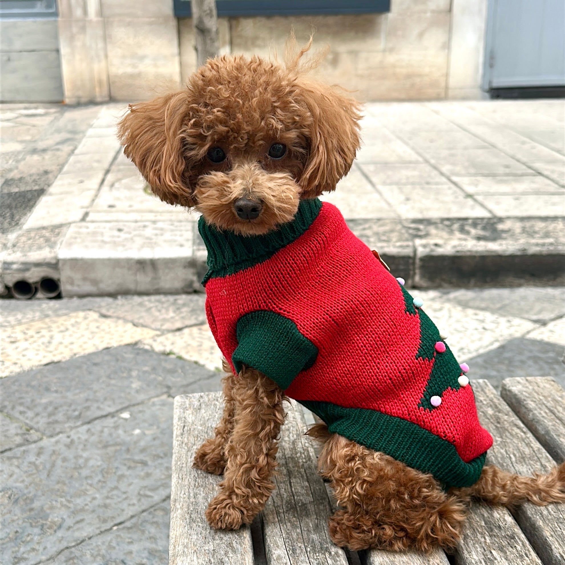 Maglione natalizio con albero di Natale per pets –Morbido, Caldo e dal Design Festivo