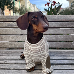 Maglione a Righe Avorio e Caramello – Fascino Accademico Vintage e Comfort Accogliente per  Pets