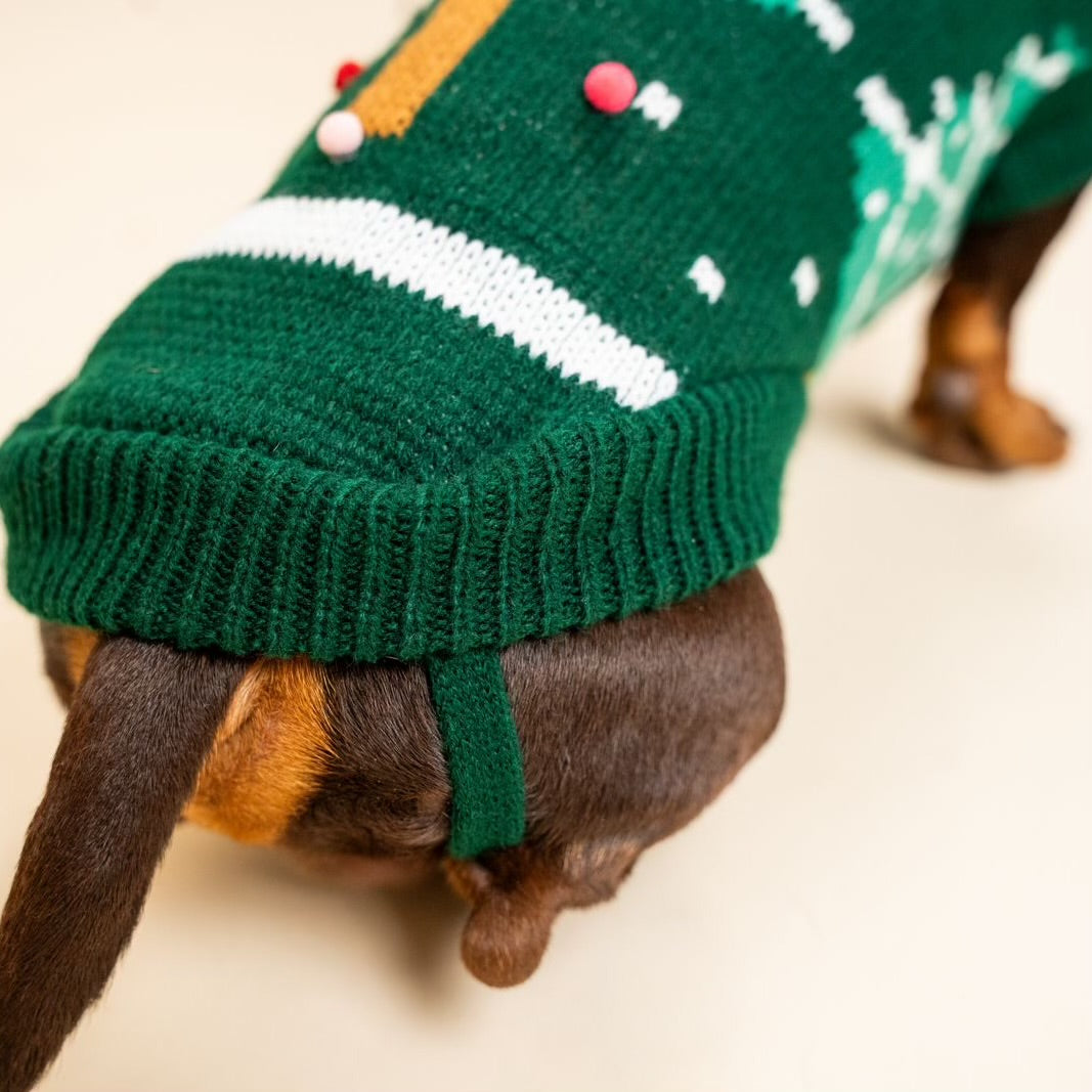 Maglione natalizio con albero di Natale per pets –Morbido, Caldo e dal Design Festivo