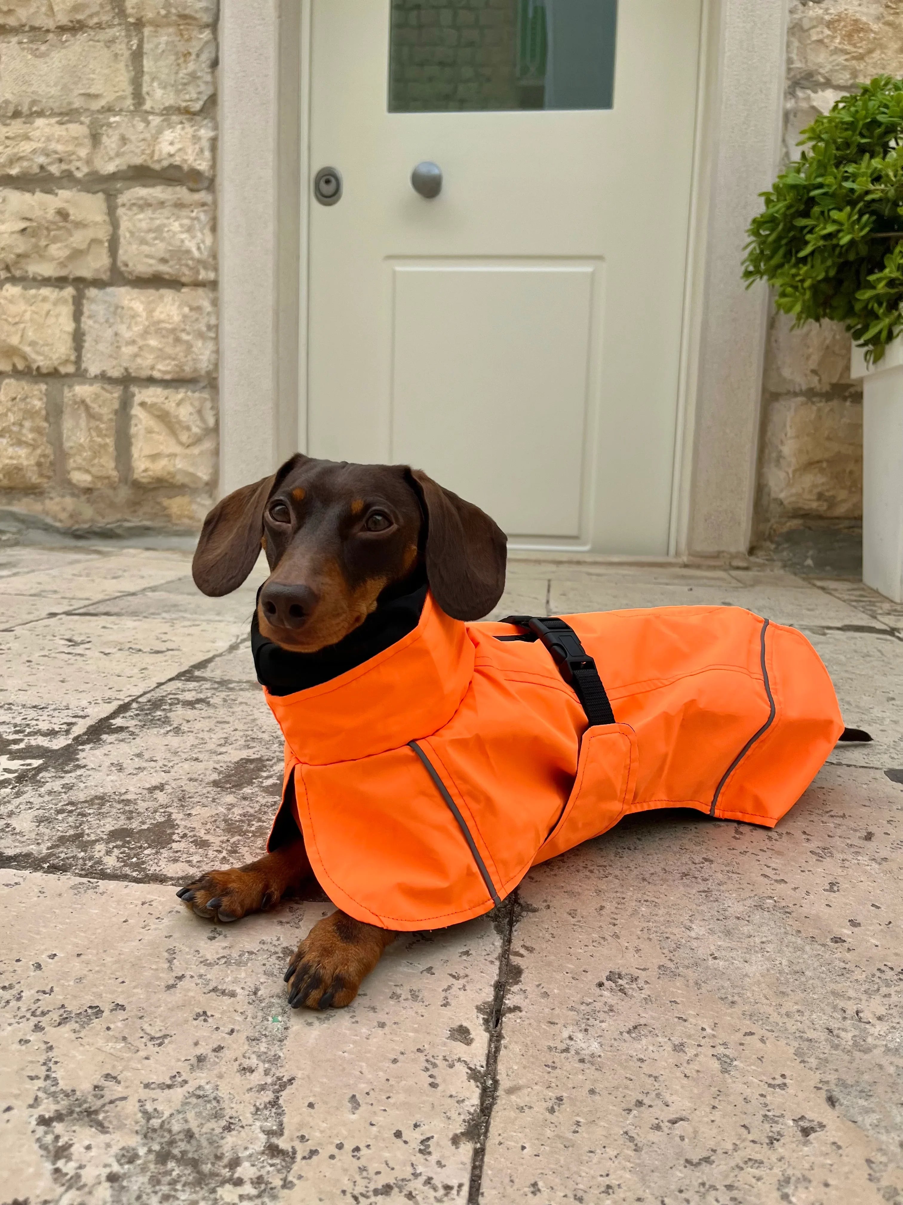 Impermeabile Arancione per Cani con Strisce Riflettenti e Cappuccio Protettivo