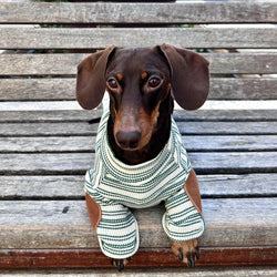 Maglione a Righe Verde e Bianco – Eleganza Vintage e Comfort Accogliente per Pets