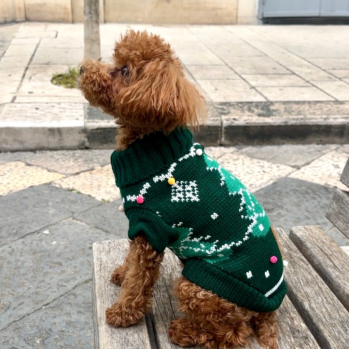 Maglione natalizio con albero di Natale per pets –Morbido, Caldo e dal Design Festivo