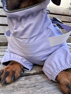 Impermeabile Integrale Viola Chiaro per Cani – Impermeabile, Riflettente e Leggero