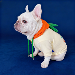 Felpa autunnale/invernale per Bulldog Francese con motivo carota – Calda e confortevole
