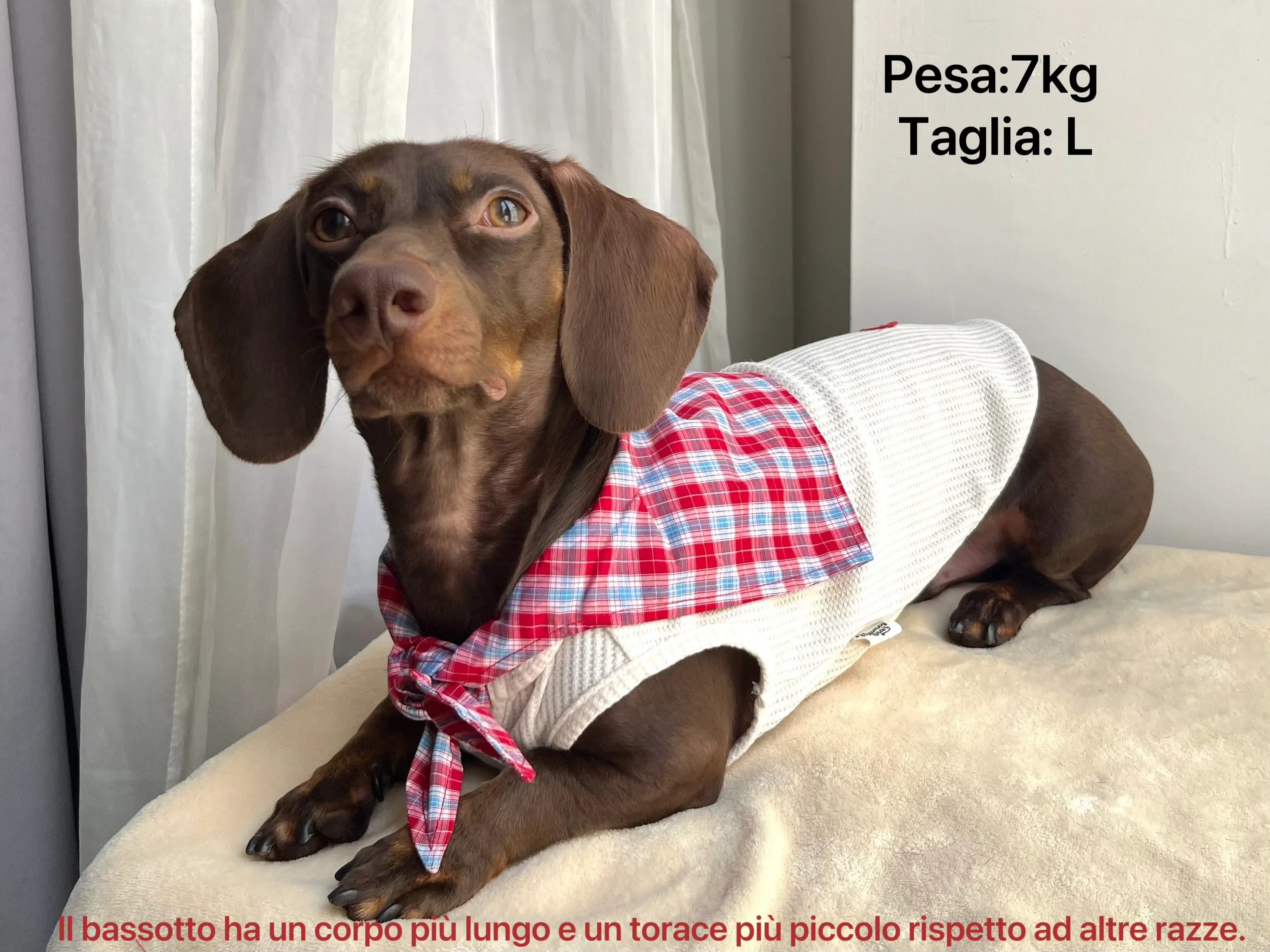 Camicia a Quadretti Rossa per Animali – Morbida Maglietta in Cotone con Colletto a Quadri