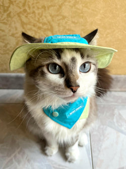 Cappellino e Bandana Pastello per Animali – Protezione Solare alla Moda