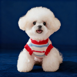 Maglione a rosso righe in pelliccia sintetica per animali domestici – Autunno/Inverno