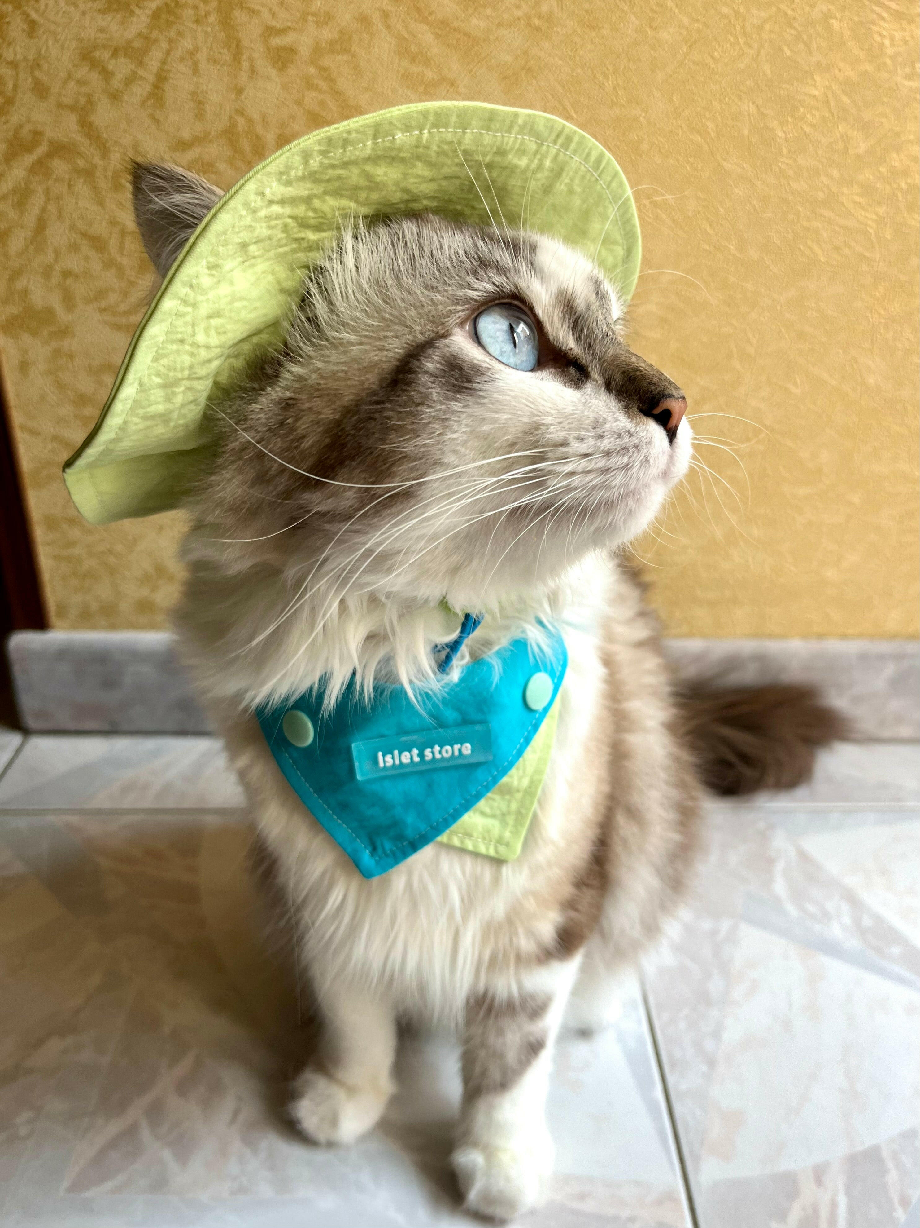 Cappellino e Bandana Pastello per Animali – Protezione Solare alla Moda