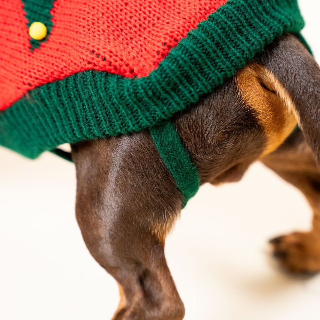 Maglione natalizio con albero di Natale per pets –Morbido, Caldo e dal Design Festivo