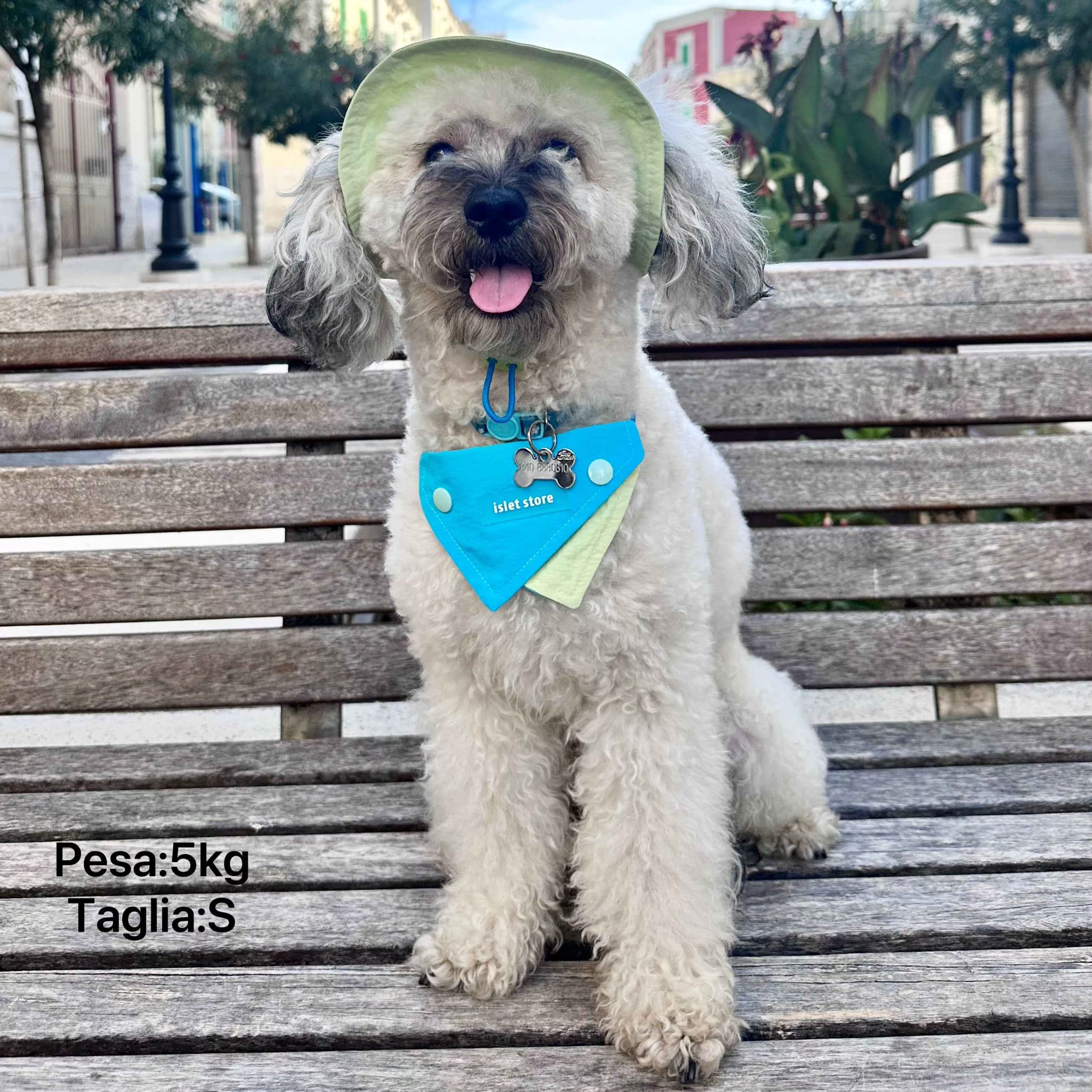 Cappellino e Bandana Pastello per Animali – Protezione Solare alla Moda