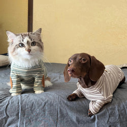 Soft and cozy knit pet sweater with classic vintage desig