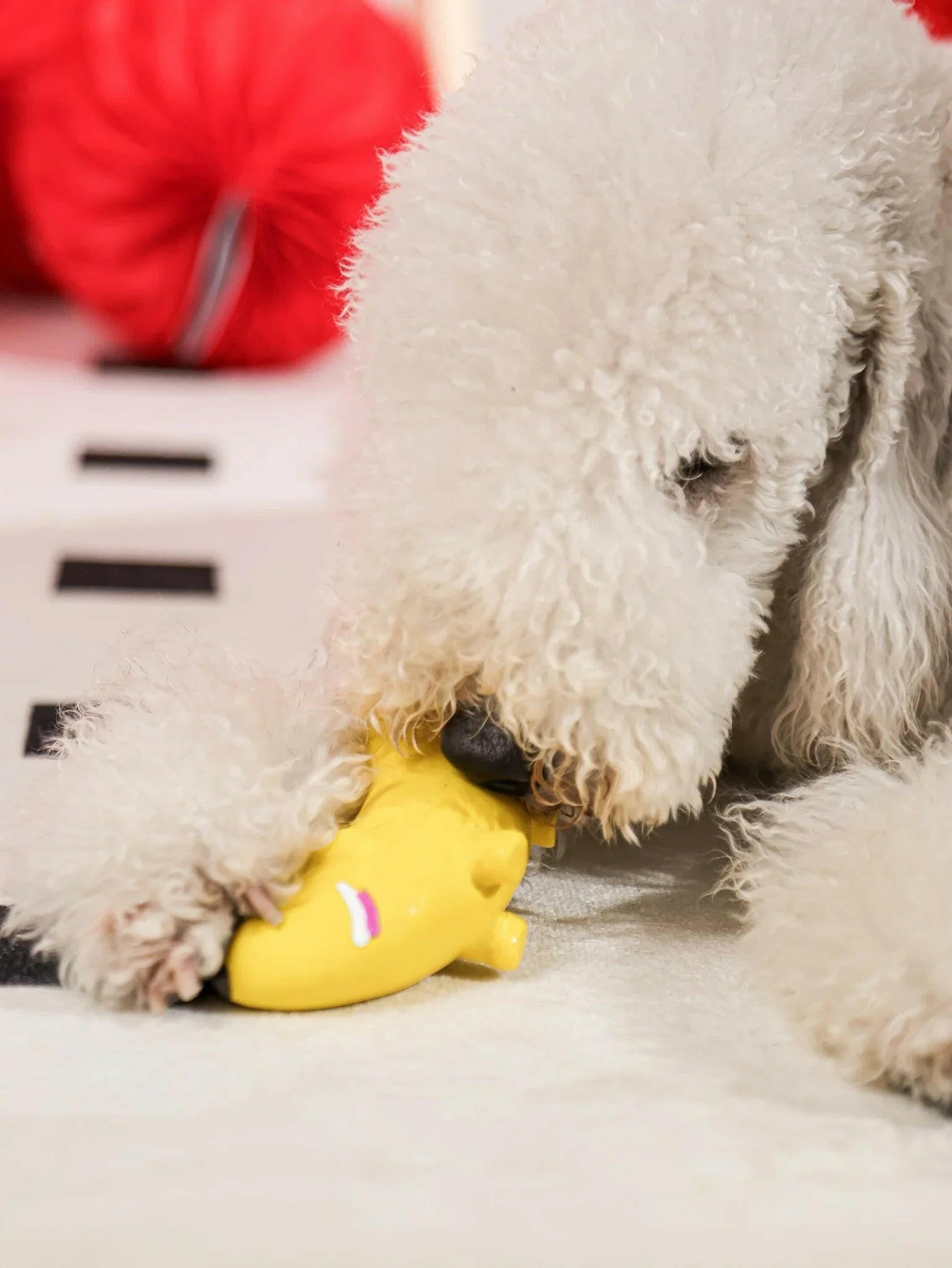 Banana Dog Plush Squeaky Toy – Soft, Durable & Irresistibly Fun - Paw Charge