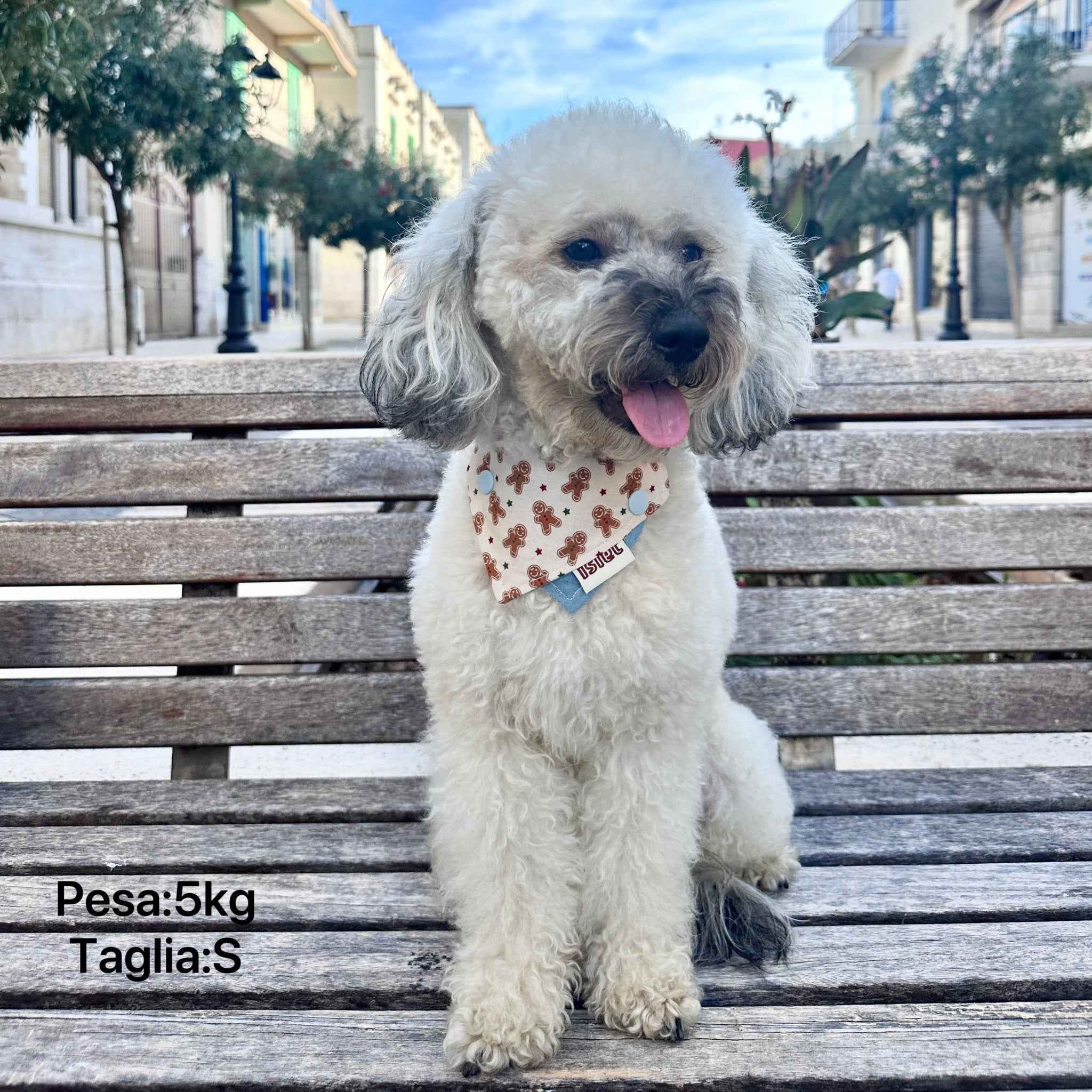 Bandana per Animali con Fantasia Pan di Zenzero – Stile Accogliente per Animali