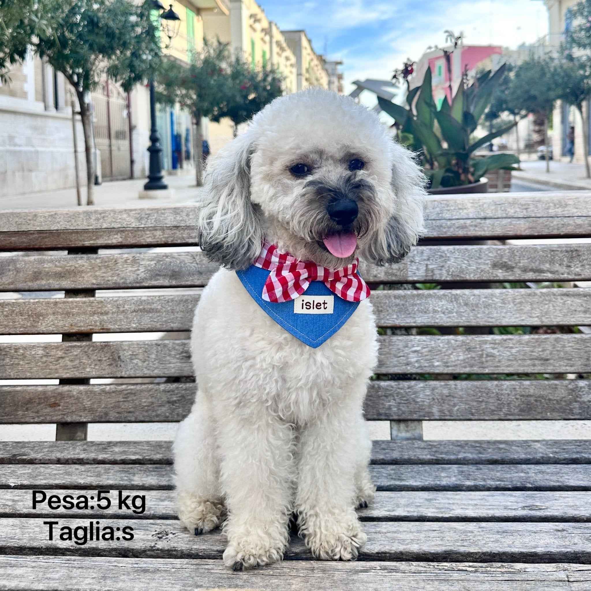 Bandana per Animali in Denim e Quadretti – Stile Rustico con Allegro Fiocco Rosso