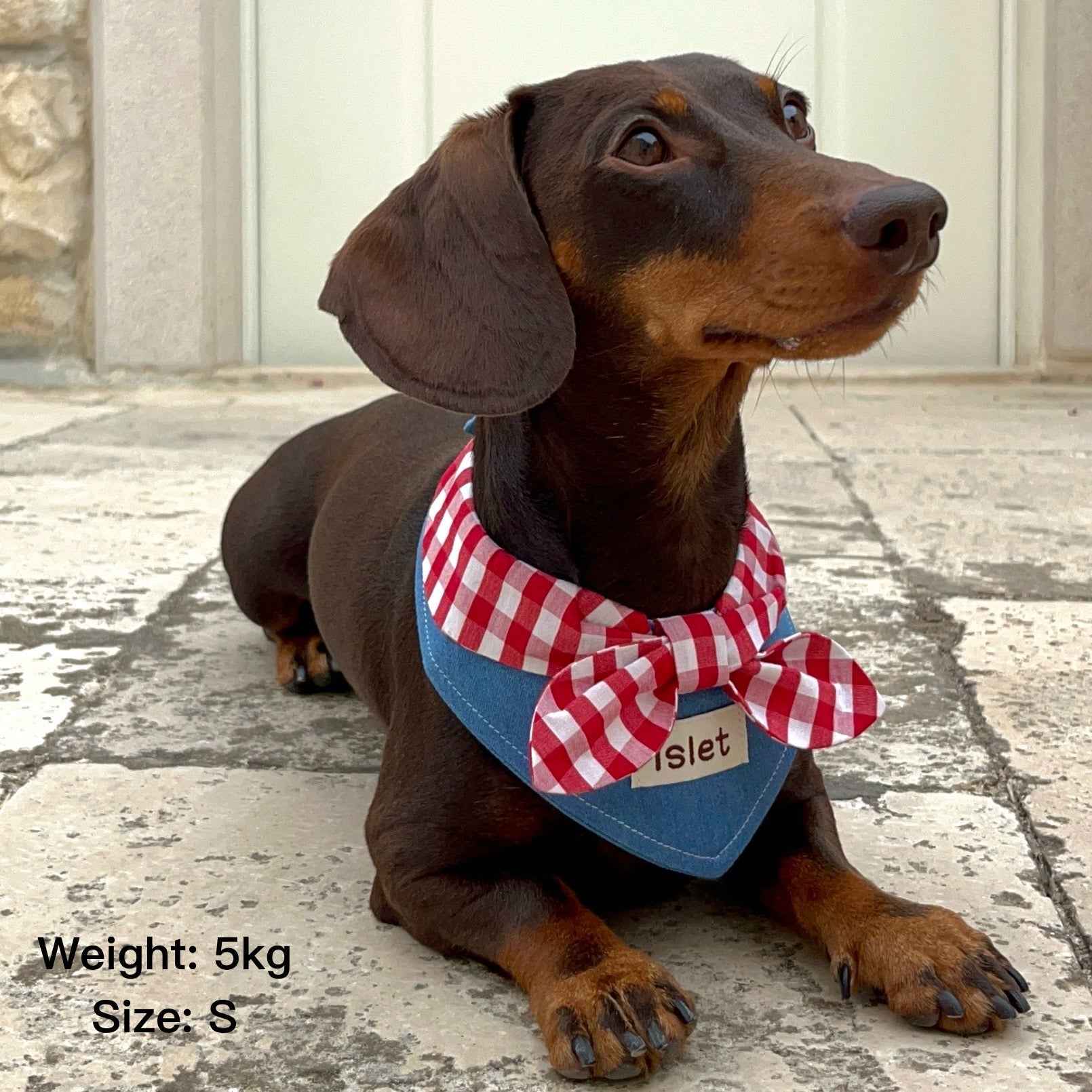 Bandana per Animali in Denim e Quadretti – Stile Rustico con Allegro Fiocco Rosso