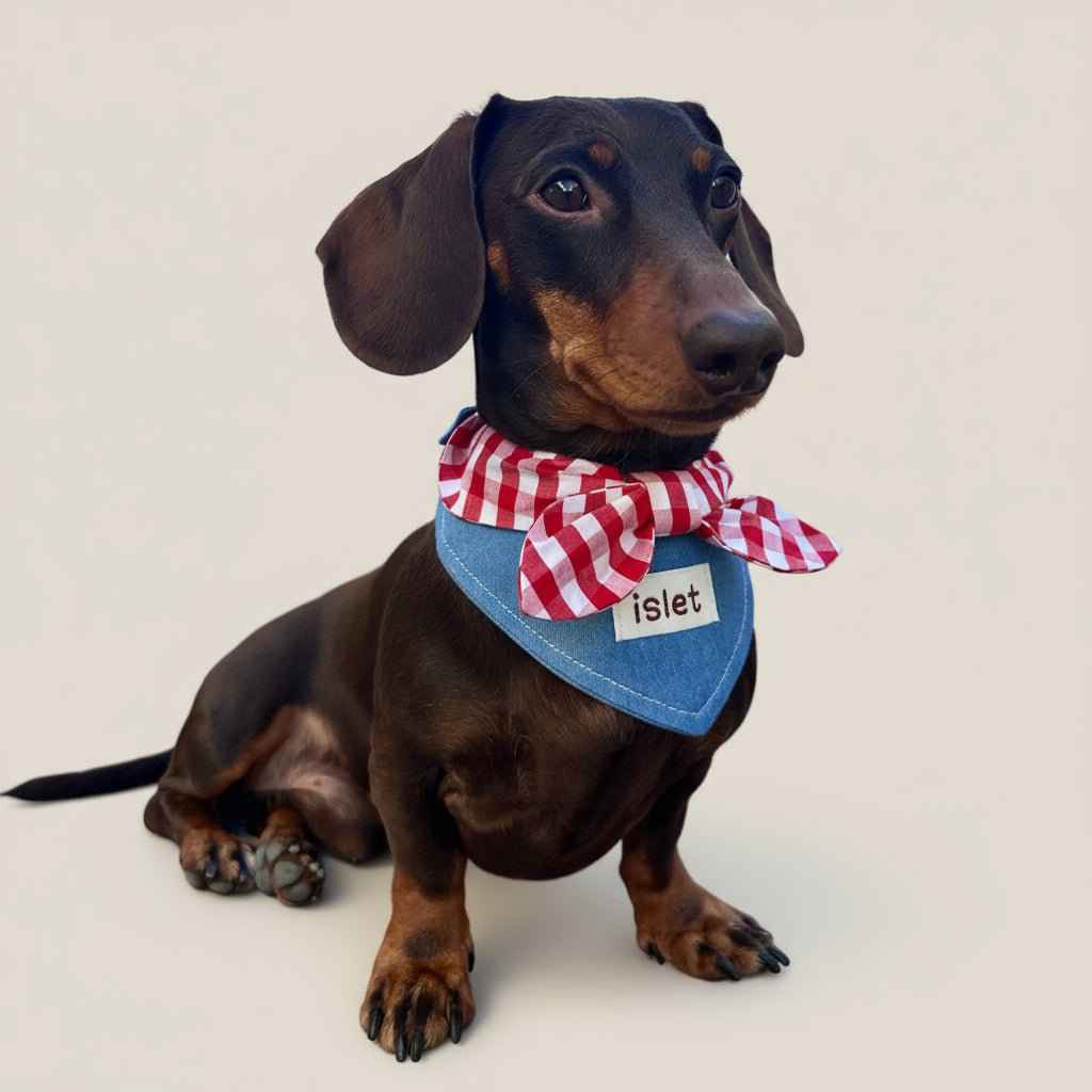 Bandana per Animali in Denim e Quadretti – Stile Rustico con Allegro Fiocco Rosso