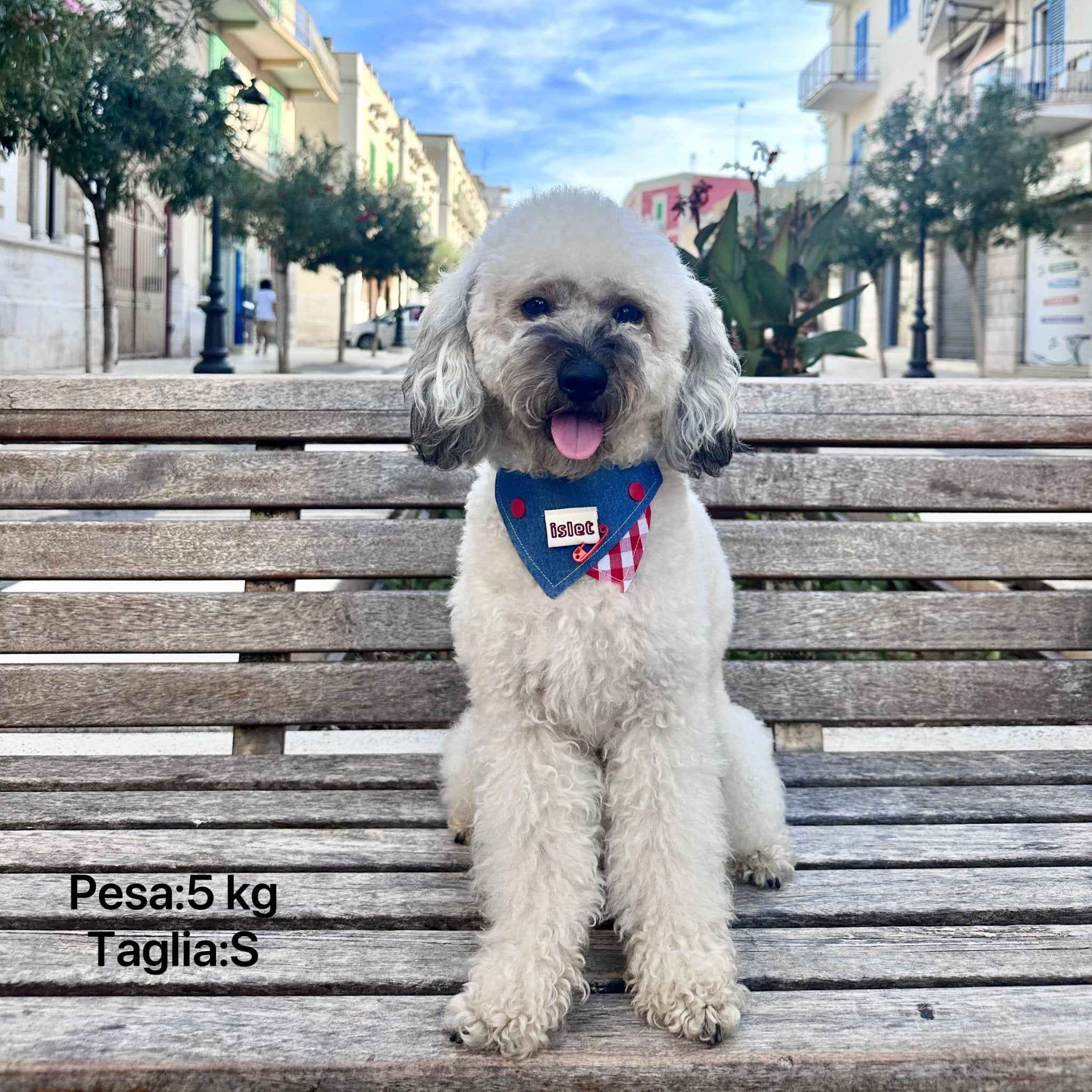 Bandana per Animali in Denim e Quadretti Vintage – Stile Morbido con Audaci Dettagli a Bottoni Rossi