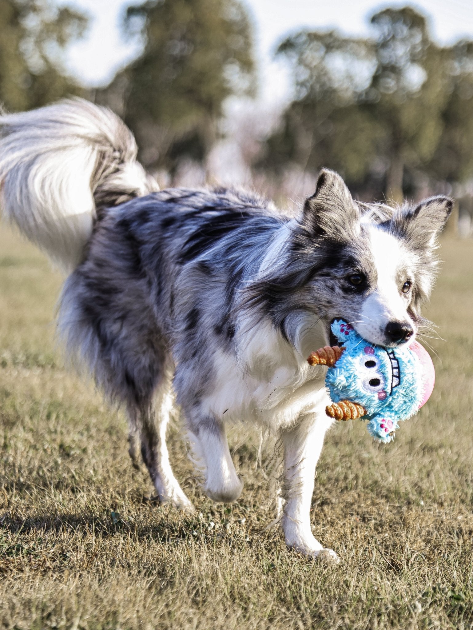 Blue Little Monster Wobble Toy – Durable, Self - Righting & Perfect for Play - Paw Charge