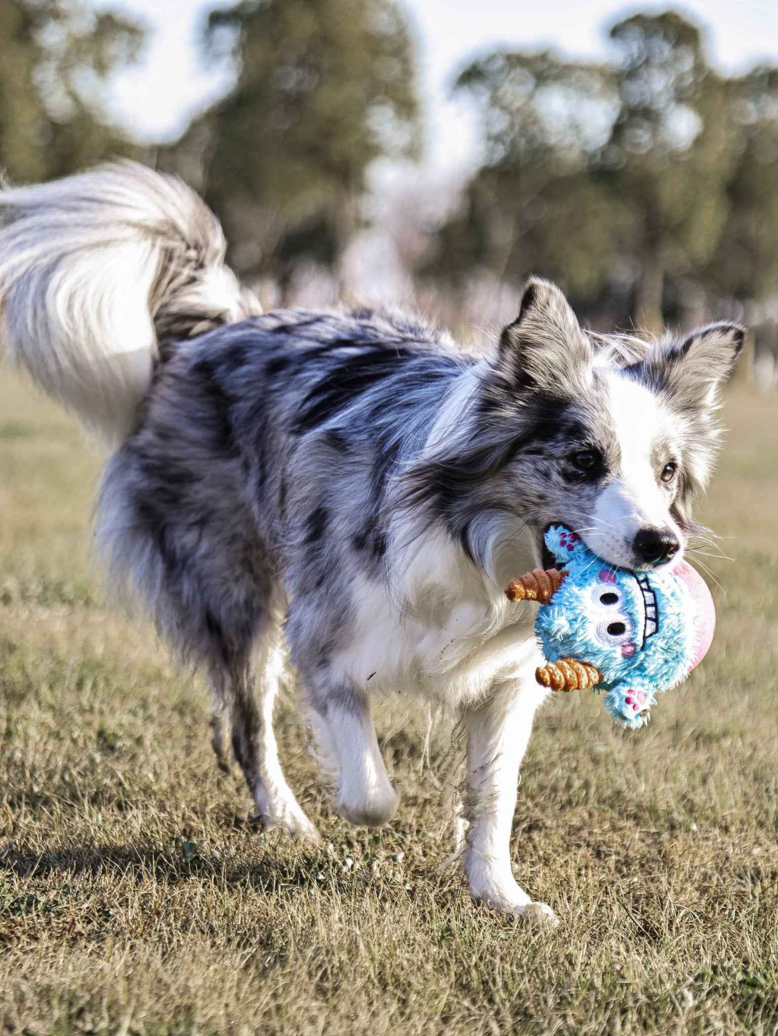 Giocattolo Wobble Blue Little Monster – Resistente, Auto-Raddrizzante e Perfetto per il Gioco