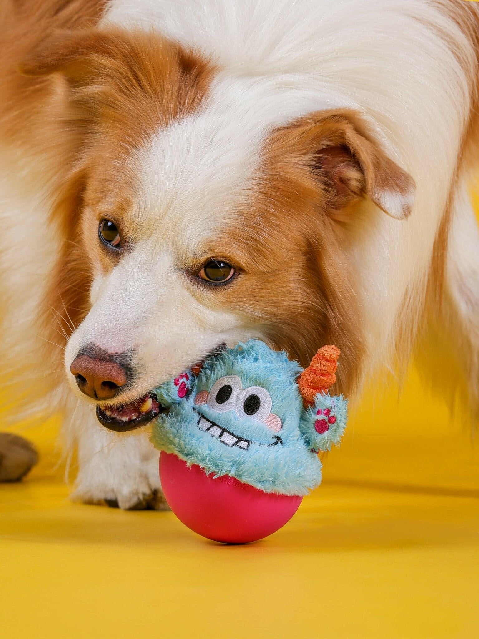 Blue Little Monster Wobble Toy – Durable, Self - Righting & Perfect for Play - Paw Charge