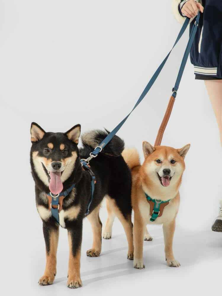 Imbracatura per Cani a H Bobo Series – Vestibilità Confortevole, Resistente e Sicura