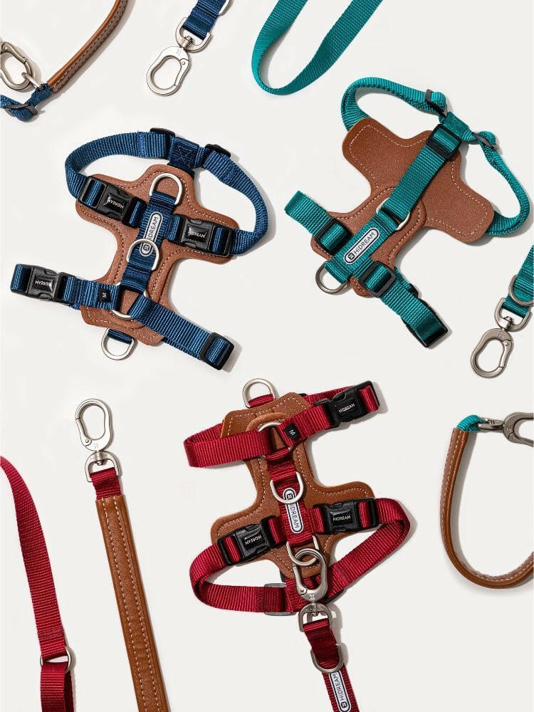 Bobo Series H - Style Dog Harness – Comfortable, Durable & Secure Fit - Paw Charge