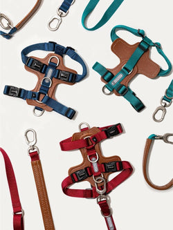 Bobo Series H - Style Dog Harness – Comfortable, Durable & Secure Fit - Paw Charge