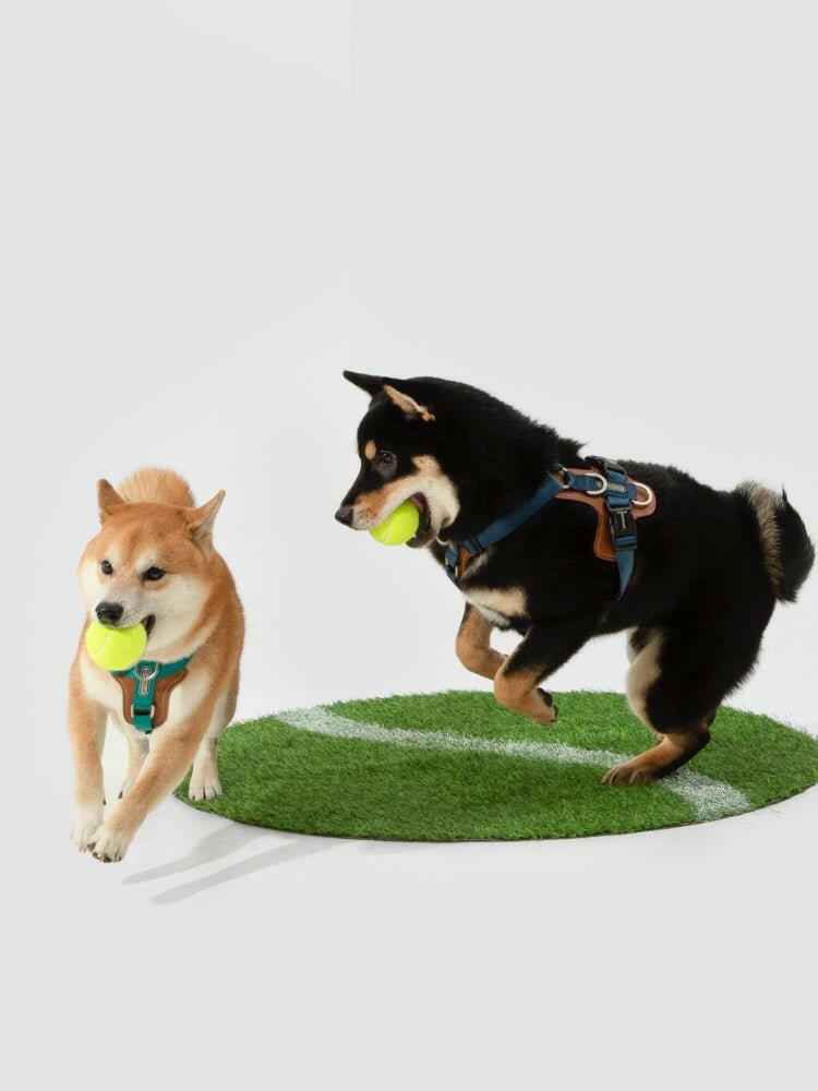 Imbracatura per Cani a H Bobo Series – Vestibilità Confortevole, Resistente e Sicura