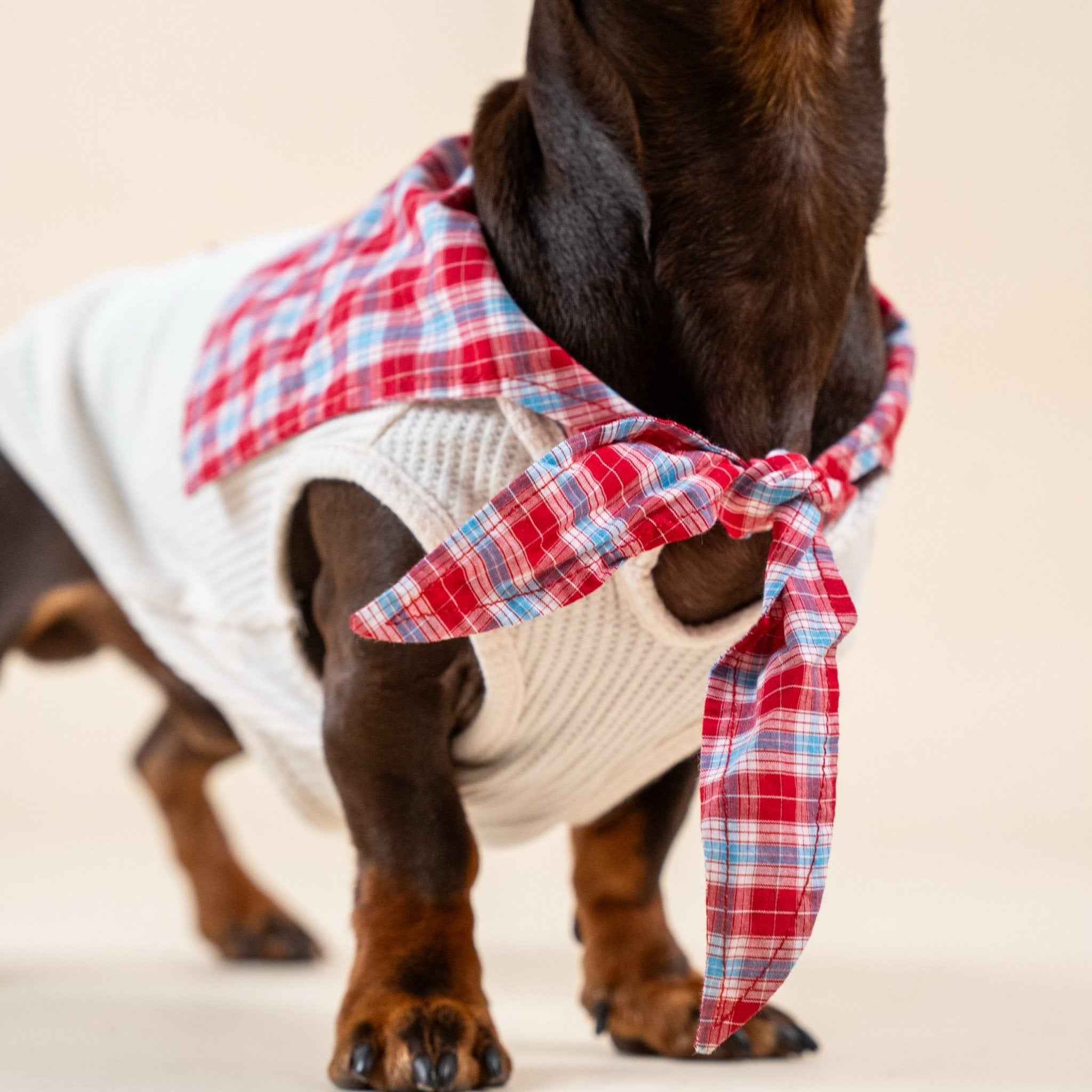 Camicia a Quadretti Rossa per Animali – Morbida Maglietta in Cotone con Colletto a Quadri