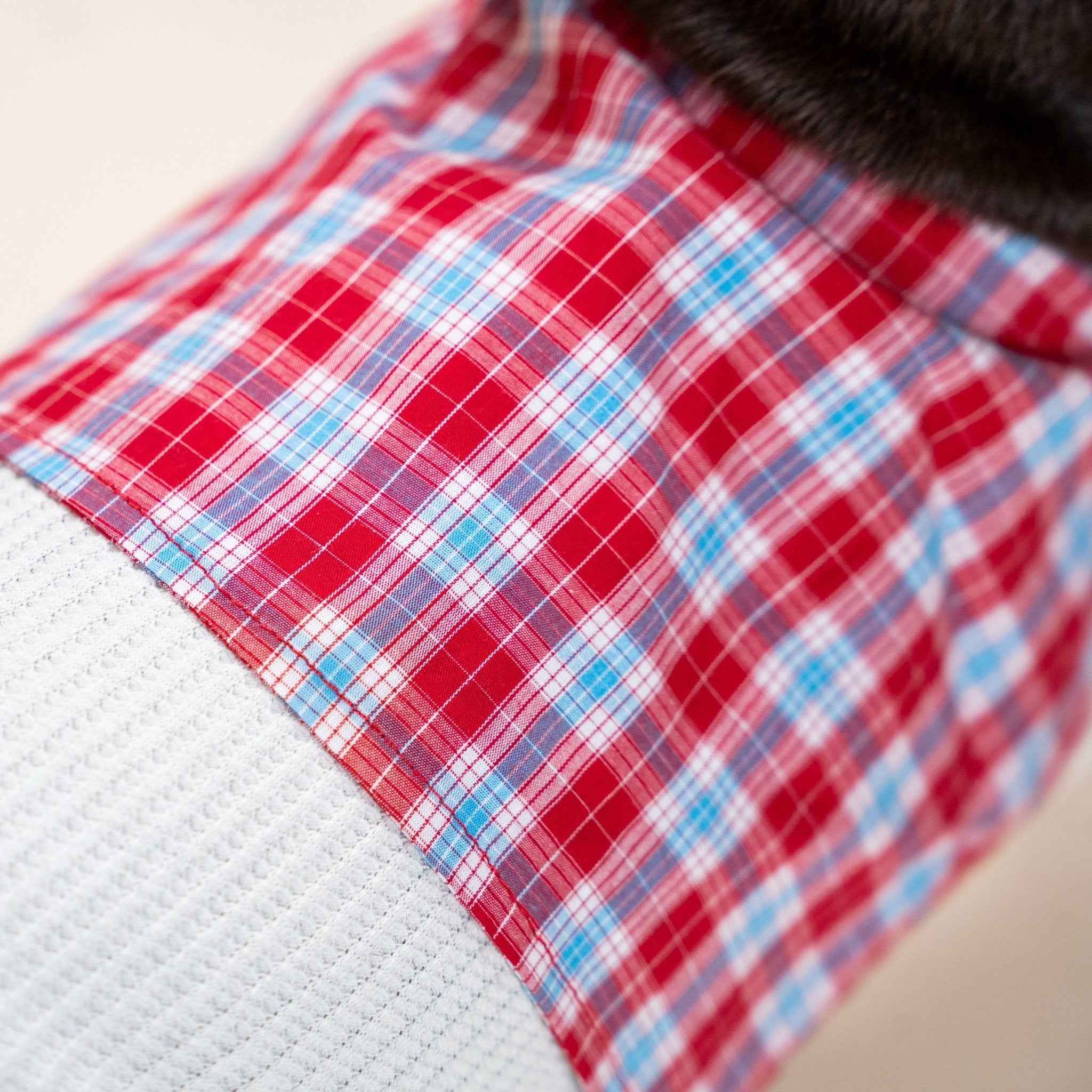 Camicia a Quadretti Rossa per Animali – Morbida Maglietta in Cotone con Colletto a Quadri