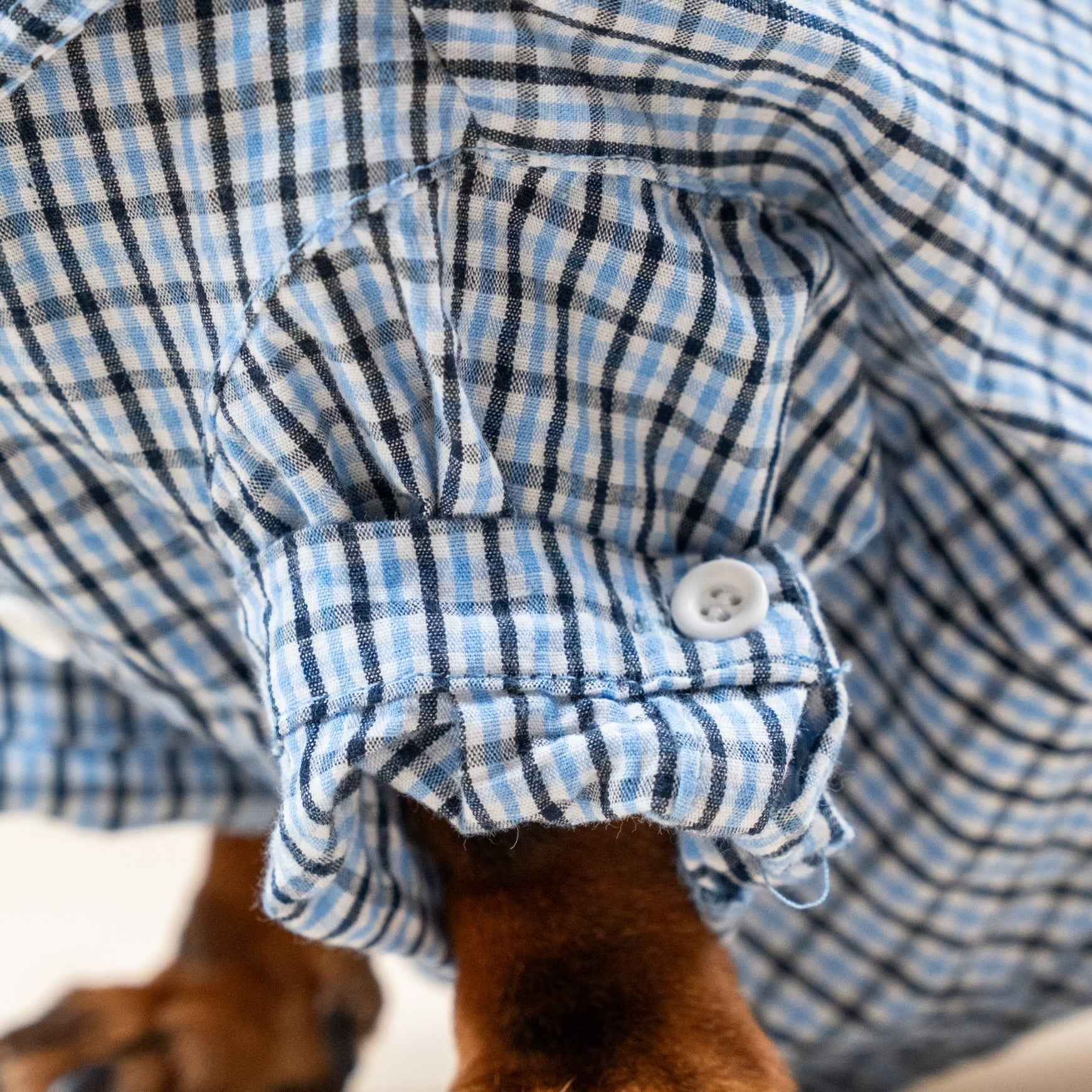 Camicia Elegante a Quadri Blu per Animali – Stile Plaid Traspirante