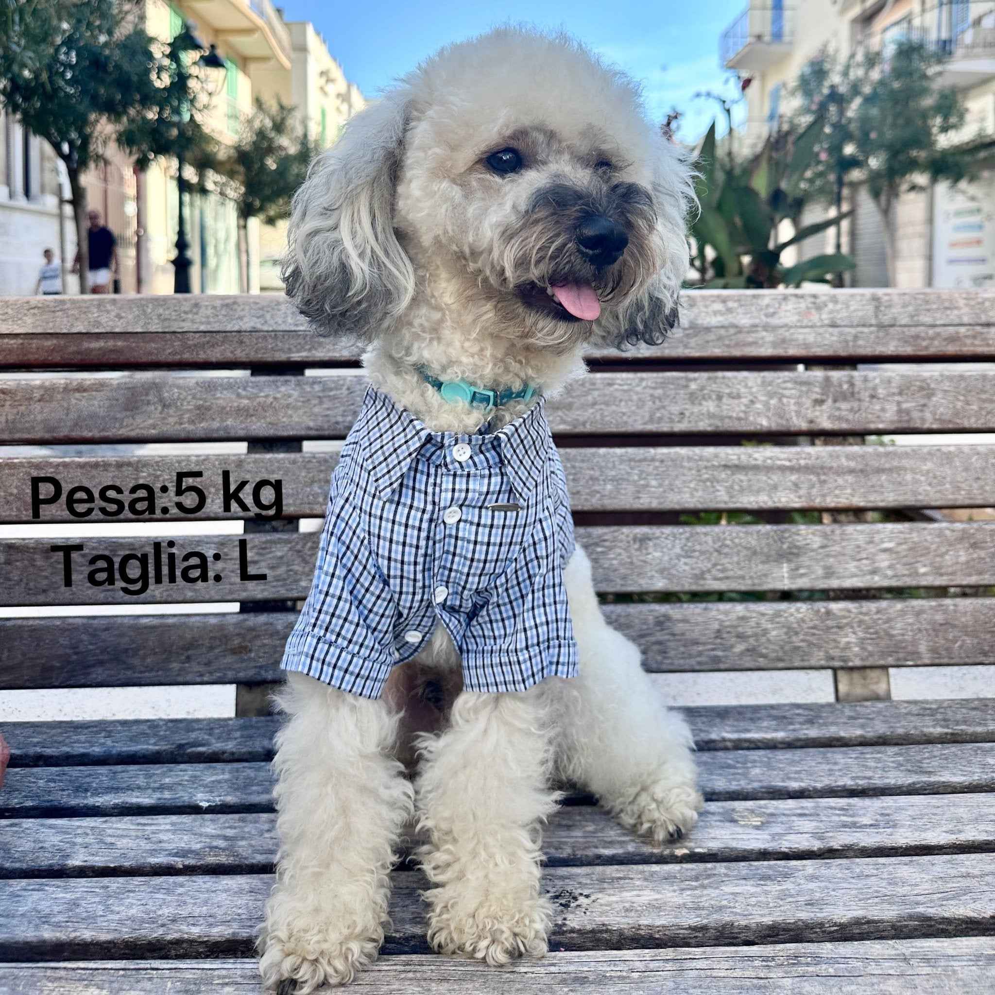 Camicia Elegante a Quadri Blu per Animali – Stile Plaid Traspirante