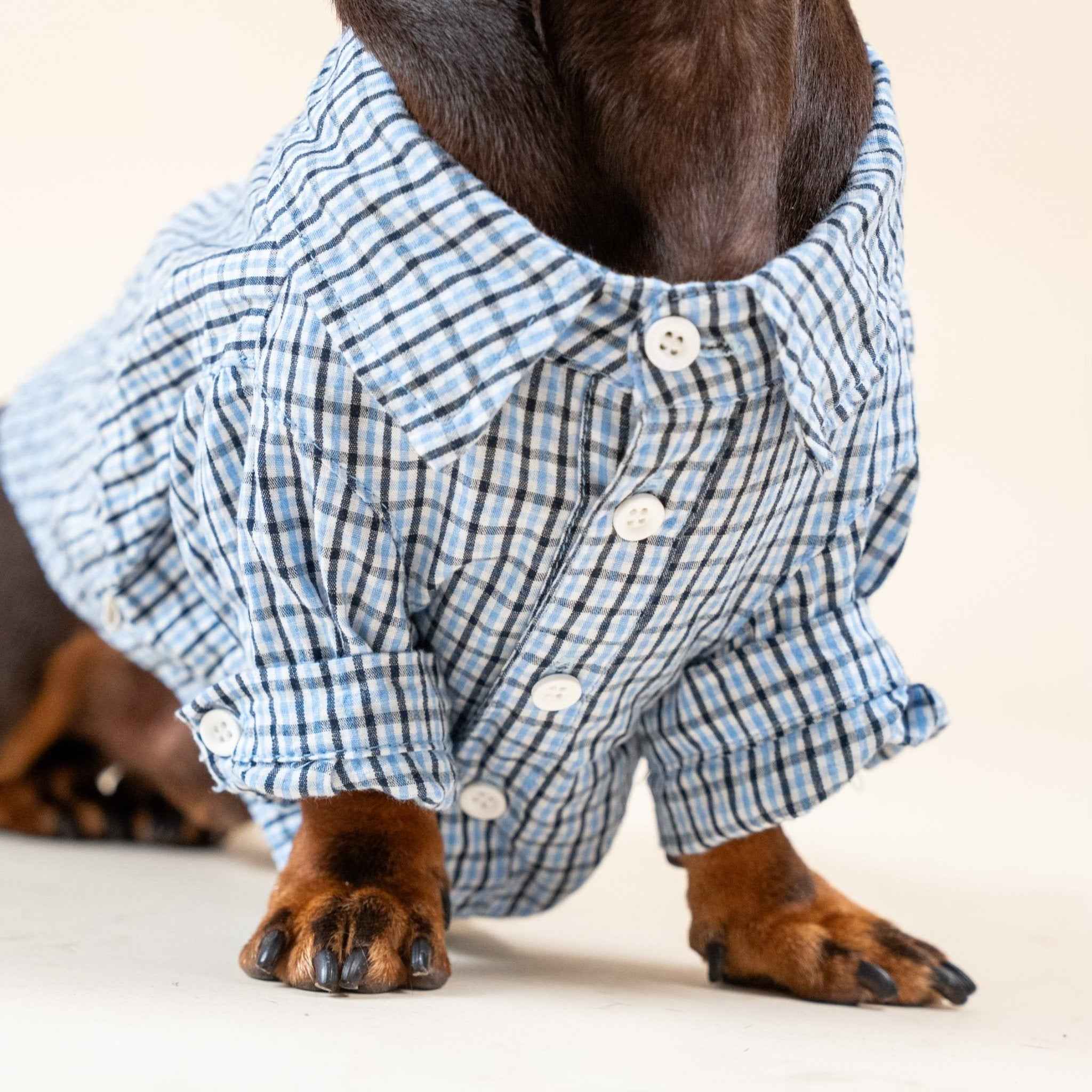 Camicia Elegante a Quadri Blu per Animali – Stile Plaid Traspirante
