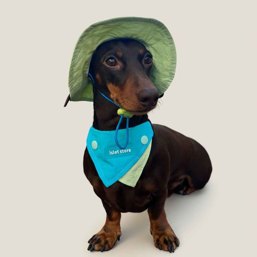 Cappellino e Bandana Pastello per Animali – Protezione Solare alla Moda