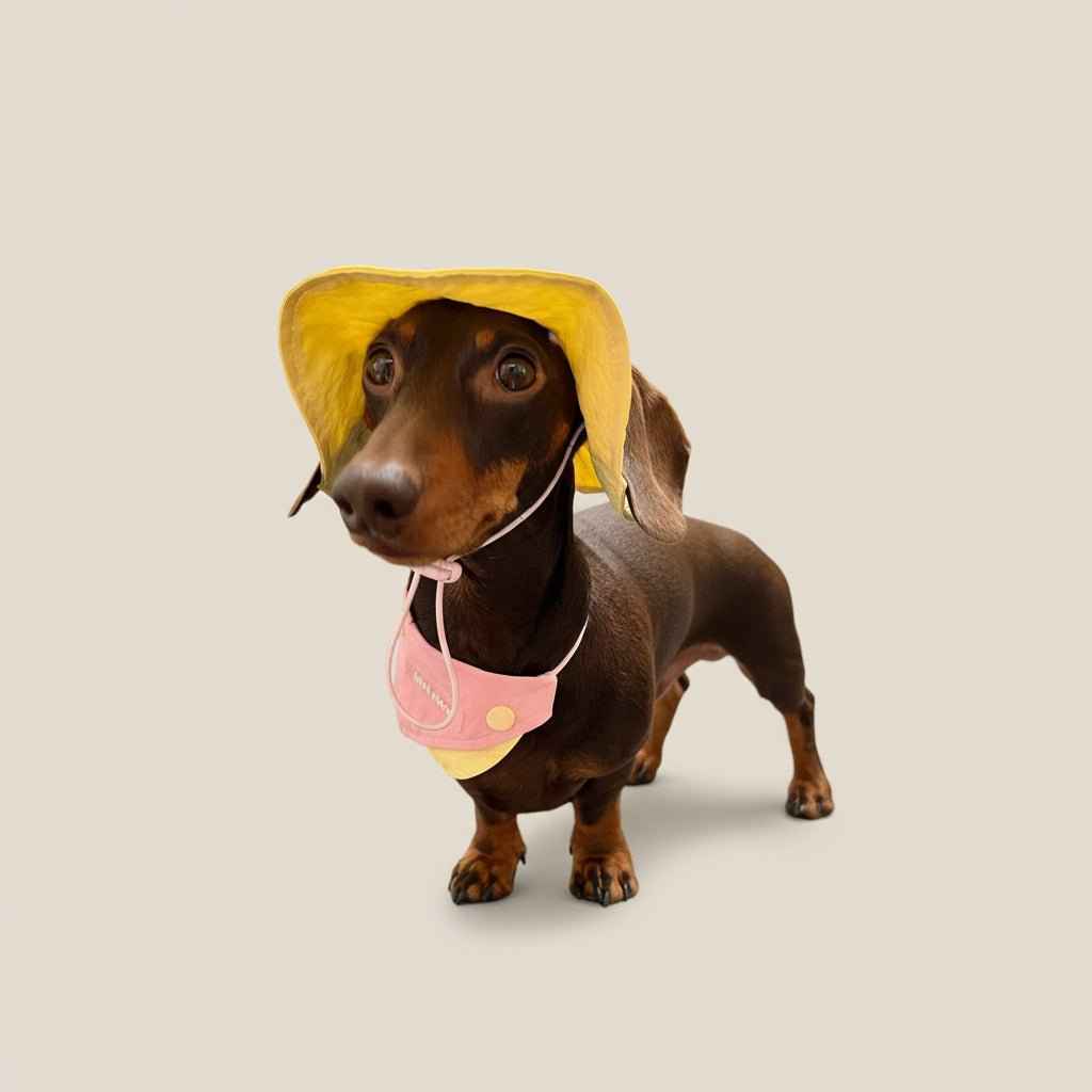 Blush Pink Pet Bandana – Lightweight Cotton Accessory for Pets