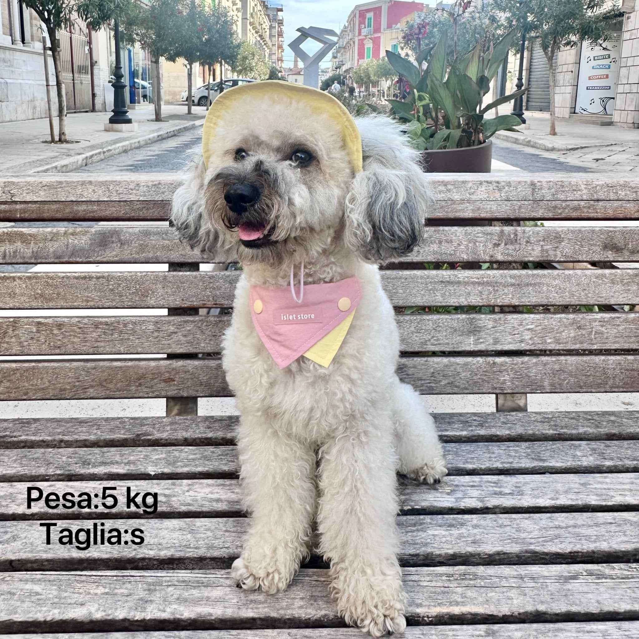 Cappellino e Bandana Rosa per Animali – Protezione Solare Carina e Traspirante