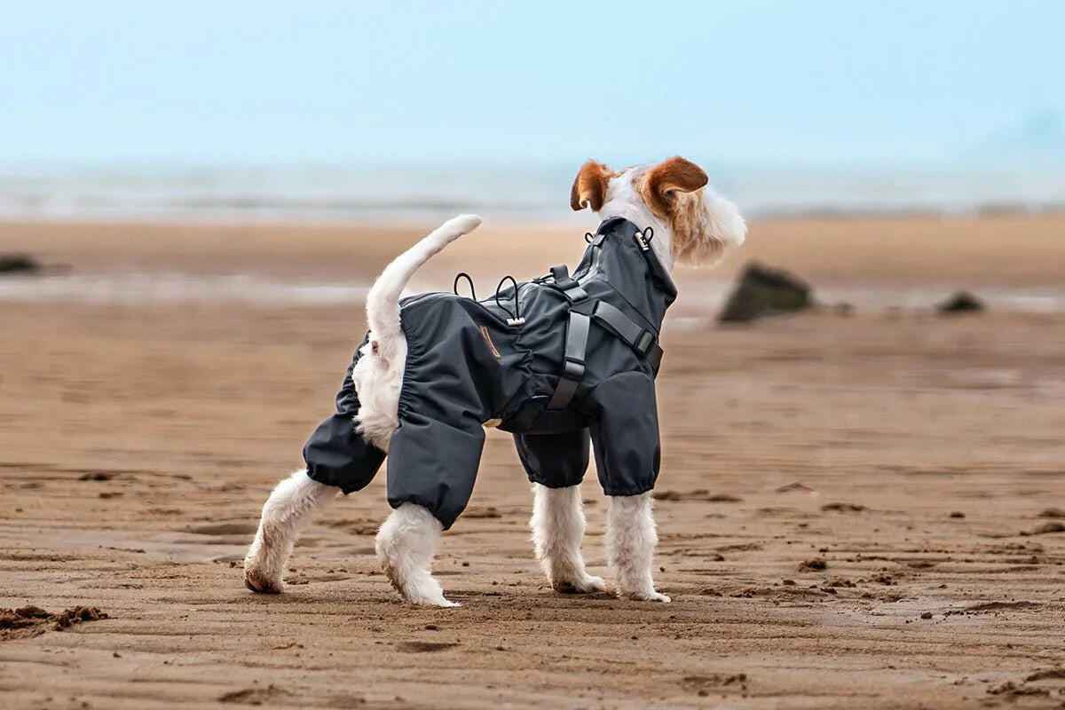 Impermeabile Integrale per Cani Grigio Scuro – Elegante, Impermeabile e Riflettente