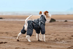 Dark Gray Full - Body Dog Raincoat – Sleek, Waterproof & Reflective Protection - Paw Charge